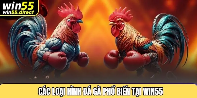 Các loại hình đá gà phổ biến tại Win55